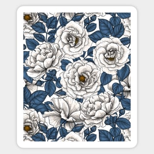 White roses with blue leaves on white Sticker